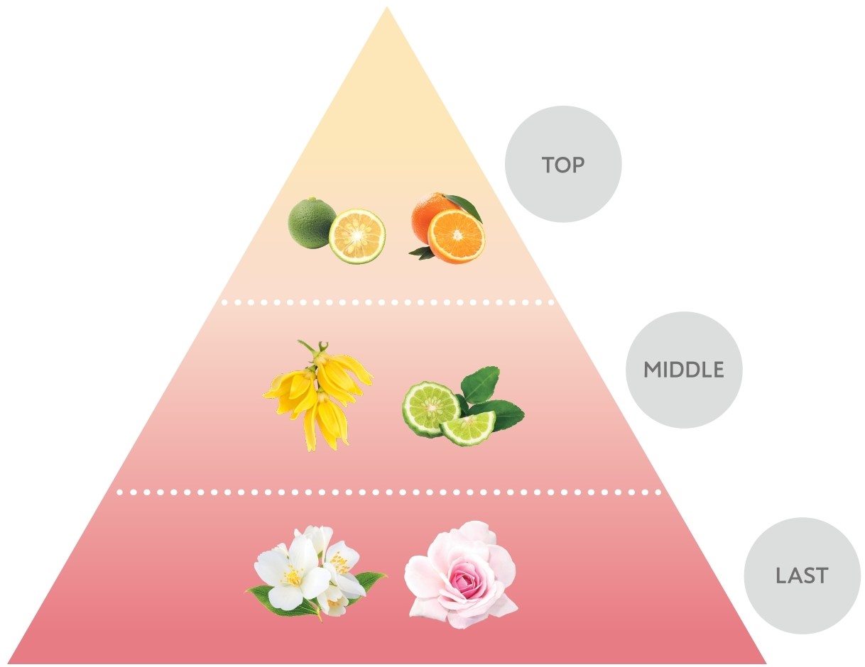 內含6種天然精油