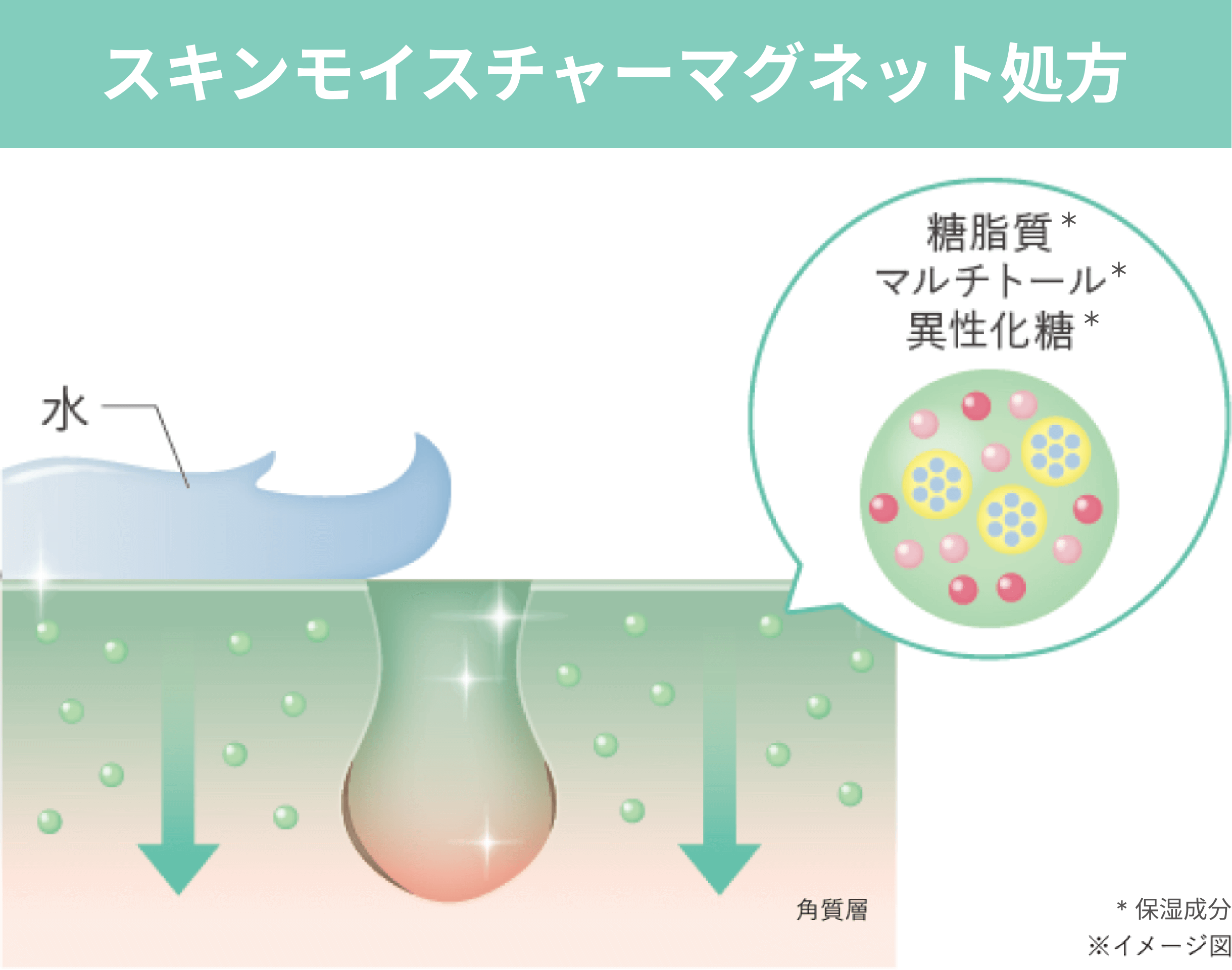 磁吸滲透保濕技術圖解